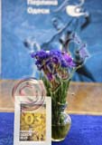 RBG_1372